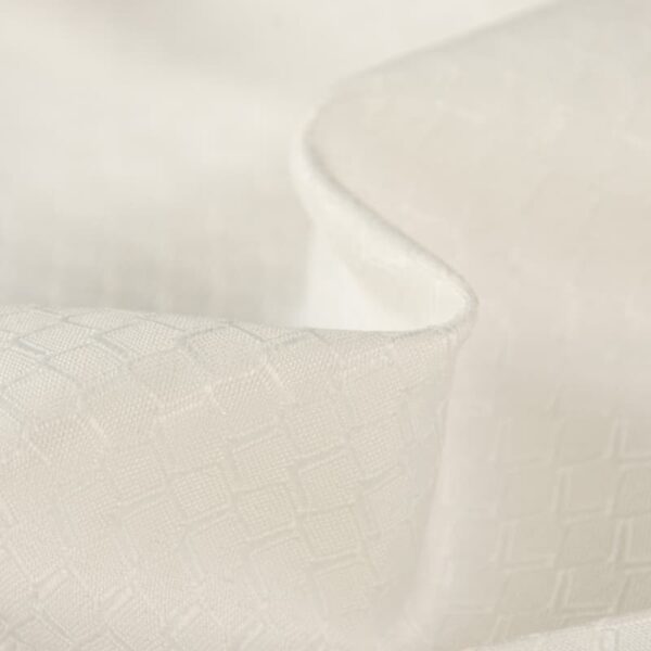 Permanent Fire Resistant Jacquard Fabric for Medical Curtain, Hotels, 100% Polyester