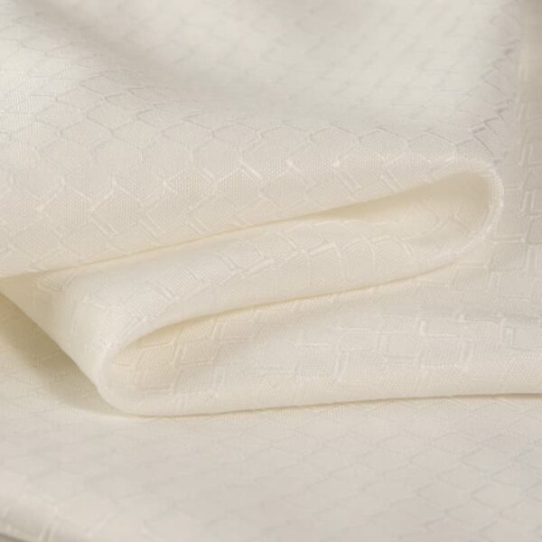 Permanent Fire Resistant Jacquard Fabric for Medical Curtain, Hotels, 100% Polyester