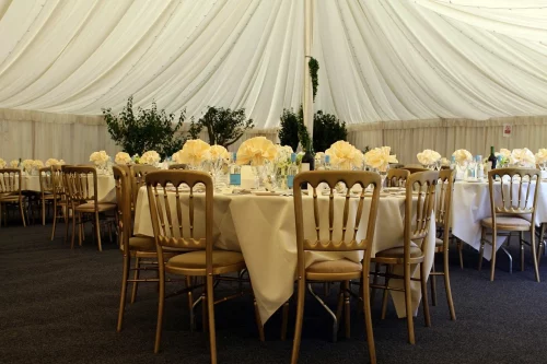flame retardant event fabric(2)
